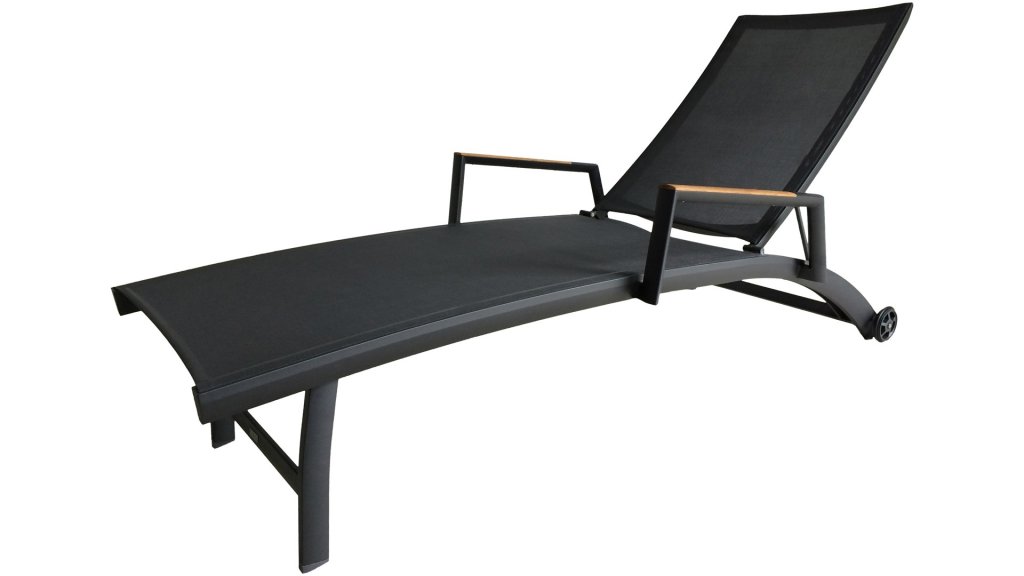 zebra fly ligbed graphite